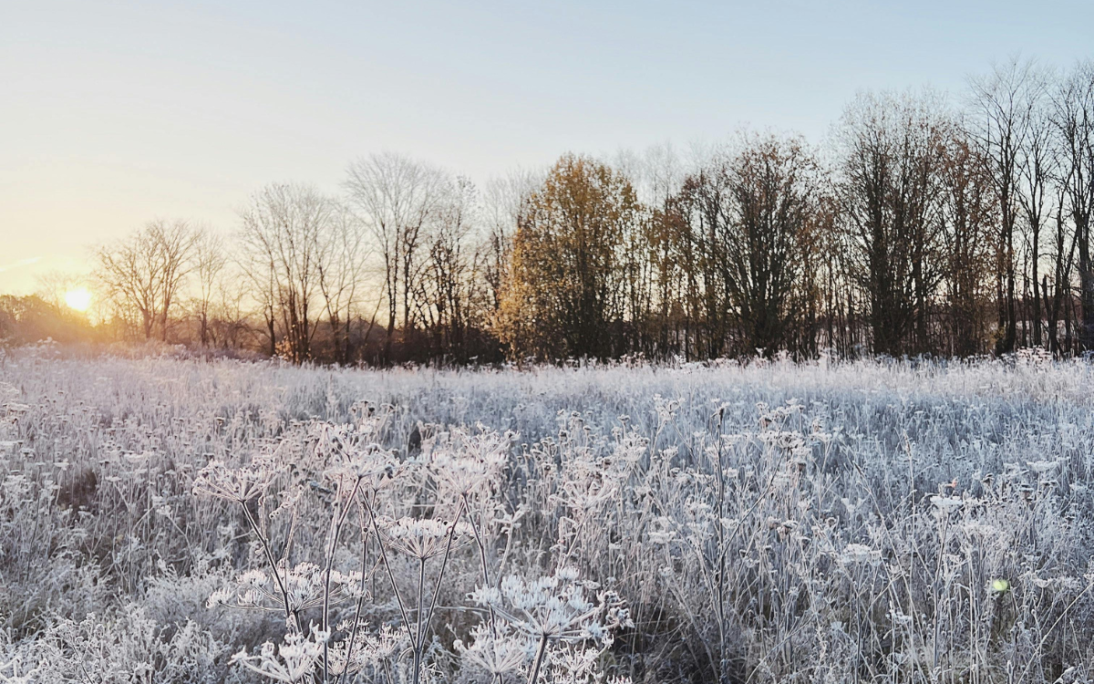 What First-Time Land Buyers Around Salem, Missouri Often Overlook